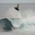 SCORING-PERFECT-WAVES-at-PERISCOPES