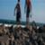 Surfline-Board-Guide