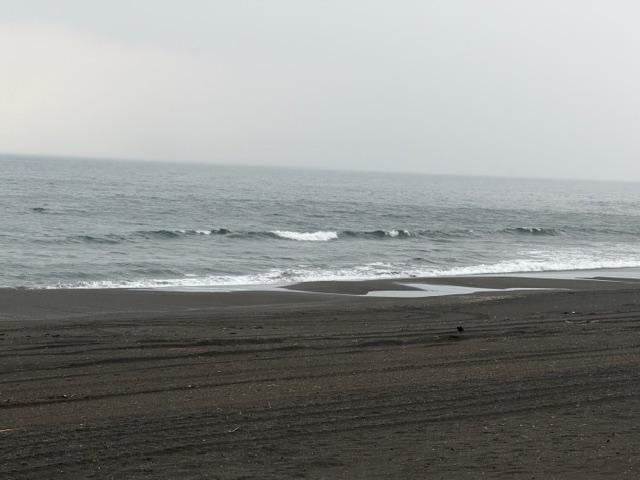 湘洋中前0514